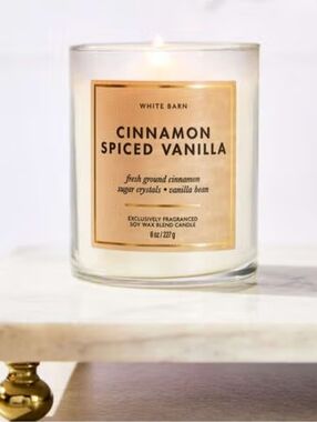 Bath & Body Works White Barn Cinnamon Spiced Vanilla Candle Single Wick NWB